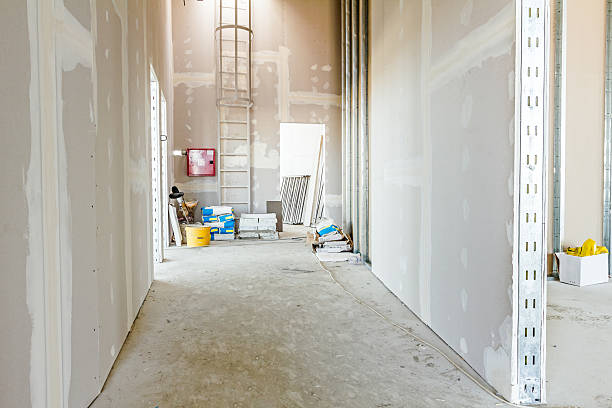 Best Post-Construction Mold Inspection  in Newport, MN